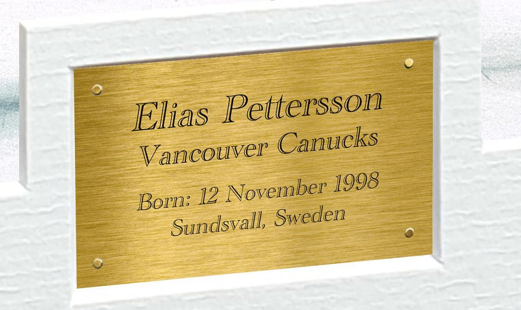 Kitbags & Lockers 12x8 A4 Elias Pettersson Celebration Vancouver Canucks NHL Autographed Signed Photo Photograph Picture Frame Ice Hockey Poster Gift