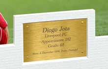 Load image into Gallery viewer, 12x8 A4 Liverpool Signed Diogo Jota Autographed Photo Photograph Picture Frame Football Soccer Poster Gift 6