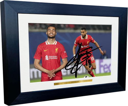 12x8 A4 Signed Cody Gakpo Liverpool F.C. Autographed Autograph Signed Photograph Photo Picture Frame Football Soccer Poster Gift Landscape