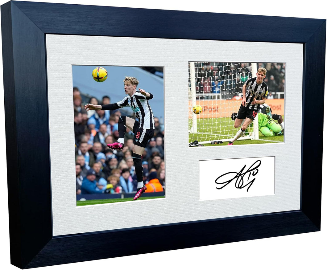 12x8 A4 Signed Anthony Gordon Newcastle United Autographed Autograph Signed Signature Photograph Photo Picture Frame Football Soccer Poster Gift Triple