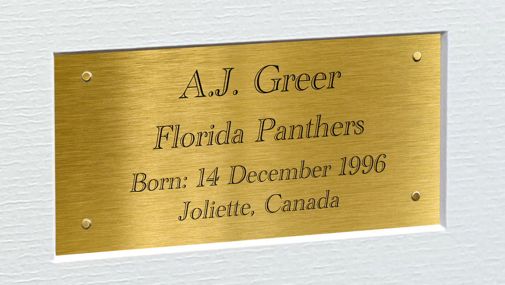 Kitbags & Lockers 12x8 A4 A.J. Greer Florida Panthers Stanley Cup Winners NHL Autographed Signed Signature Photo Photograph Picture Frame Ice Hockey Poster Gift Triple G