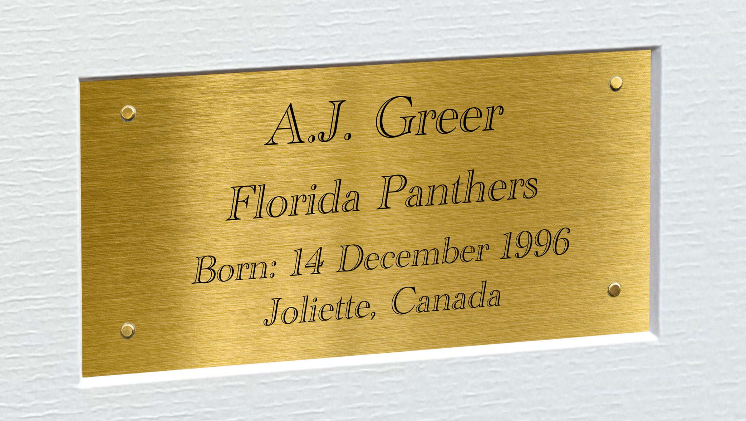 Kitbags & Lockers 12x8 A4 A.J. Greer Florida Panthers Stanley Cup Winners NHL Autographed Signed Signature Photo Photograph Picture Frame Ice Hockey Poster Gift Triple G