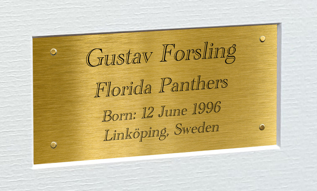 Kitbags & Lockers 12x8 A4 Gustav Forsling Florida Panthers Stanley Cup Winners NHL Autographed Signed Signature Photo Photograph Picture Frame Ice Hockey Poster Gift Triple G