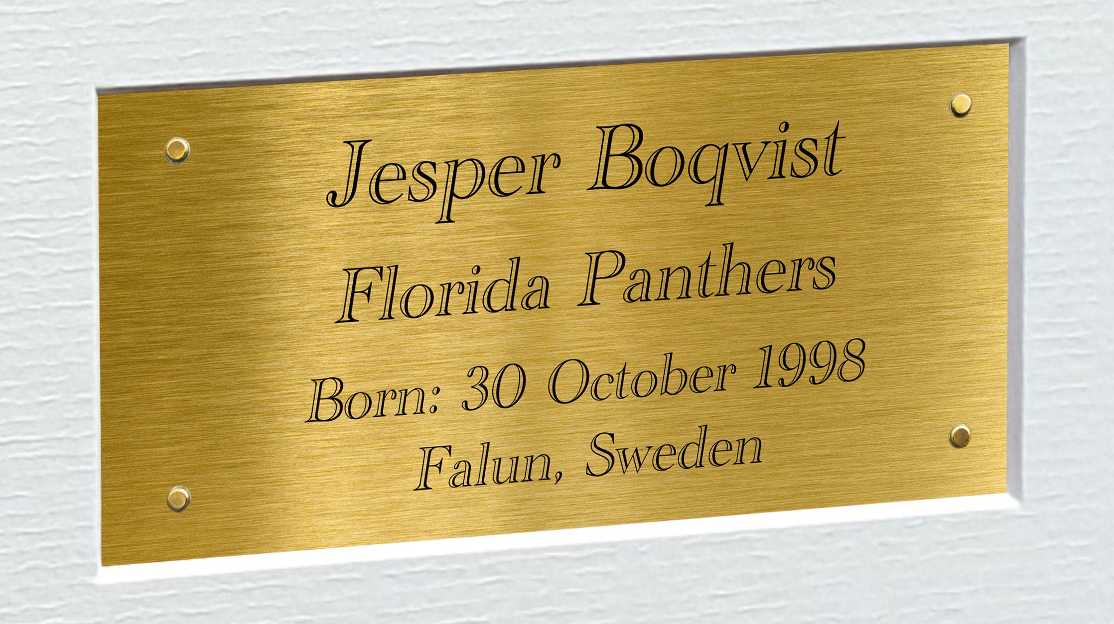 Kitbags & Lockers 12x8 A4 Jesper Boqvist Florida Panthers Stanley Cup Winners NHL Autographed Signed Signature Photo Photograph Picture Frame Ice Hockey Poster Gift Triple G