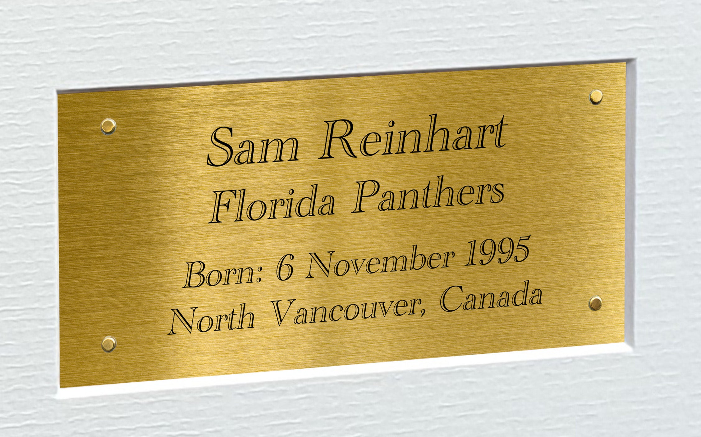 Kitbags & Lockers 12x8 A4 Sam Reinhart Florida Panthers NHL Autographed Signed Signature Photo Photograph Picture Frame Ice Hockey Poster Gift Triple G