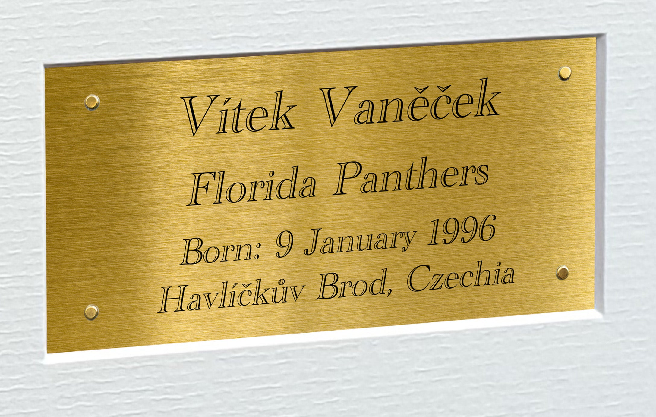 Kitbags & Lockers 12x8 A4 Vitek Vanecek Florida Panthers Stanley Cup Winners NHL Autographed Signed Signature Photo Photograph Picture Frame Ice Hockey Poster Gift Triple G