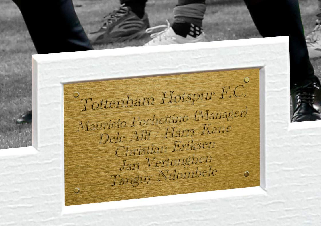 Signed Tottenham Hotspur Pochettino Alli Kane Eriksen Vertonghen Ndombele Photo Picture