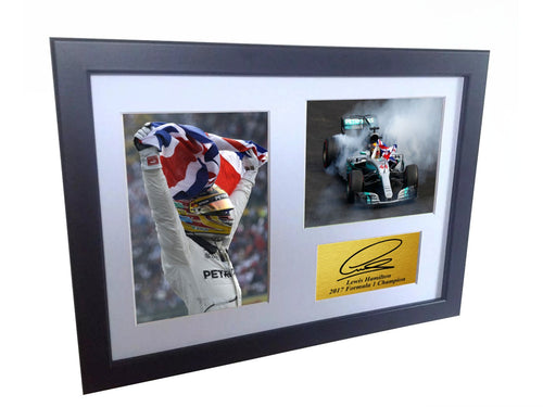 2017 World Champion Lewis Hamilton Edition Photo Photograph Picture Motor Sport Formula 1 F1