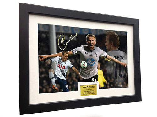 Harry Kane 12x8  Signed 